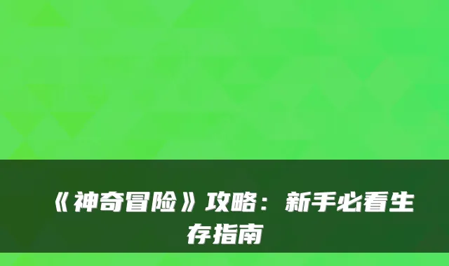 《神奇冒险》攻略：新手必看生存指南