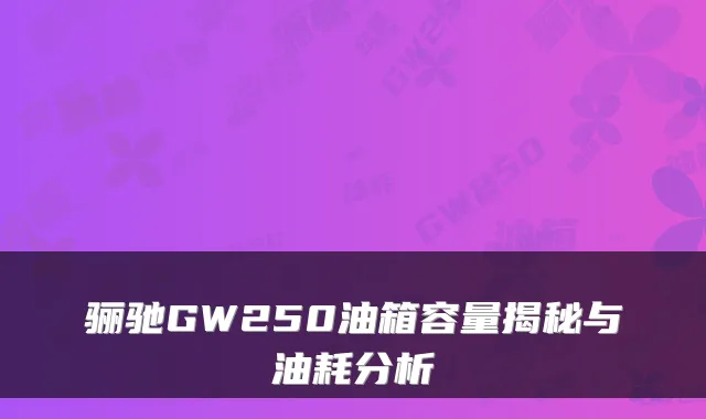 骊驰GW250油箱容量揭秘与油耗分析