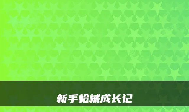 新手枪械成长记