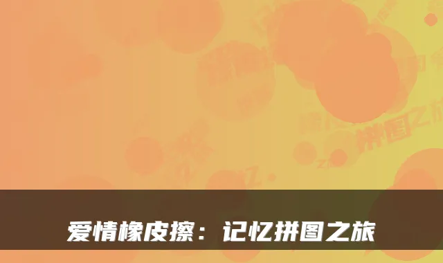 爱情橡皮擦：记忆拼图之旅