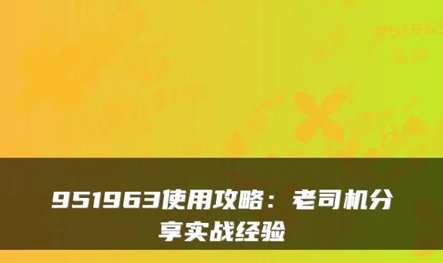 951963使用攻略：老司机分享实战经验