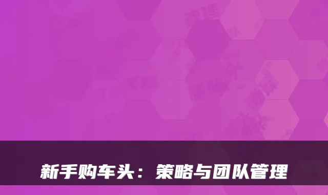 新手购车头：策略与团队管理