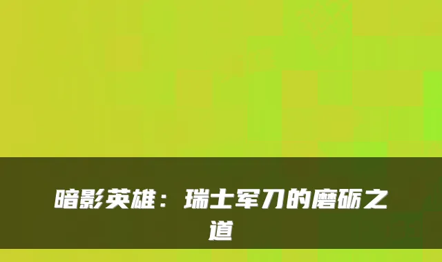 暗影英雄：瑞士军刀的磨砺之道