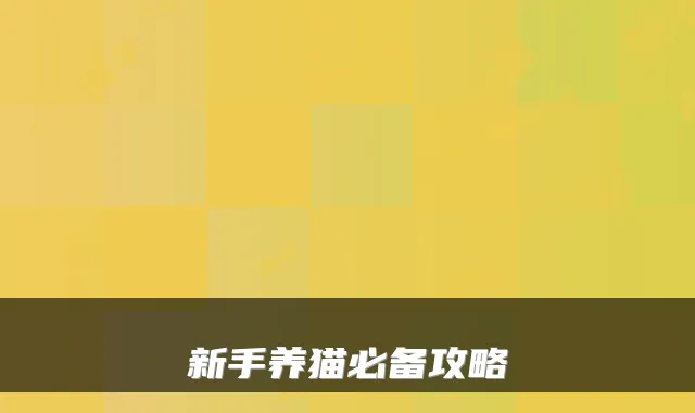 新手养猫必备攻略