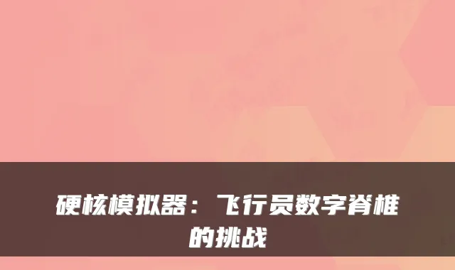硬核模拟器：飞行员数字脊椎的挑战