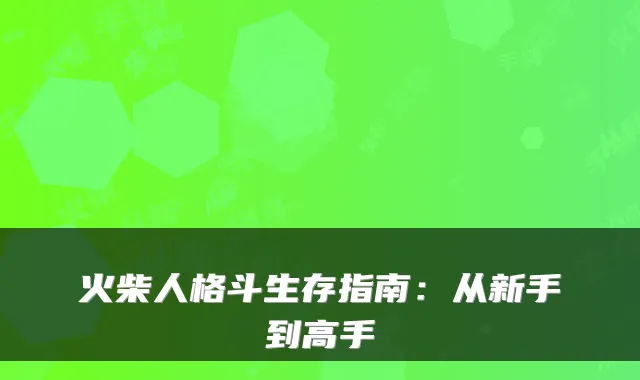 火柴人格斗生存指南：从新手到高手