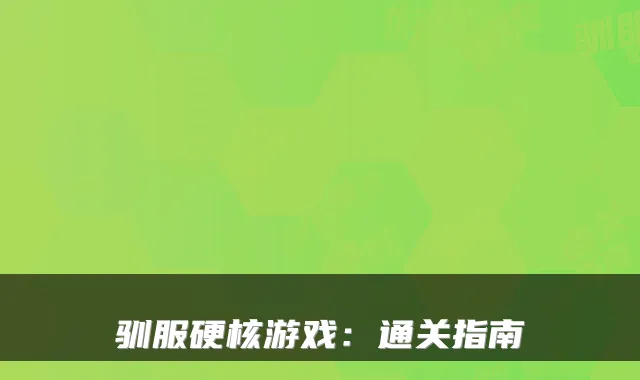 驯服硬核游戏：通关指南