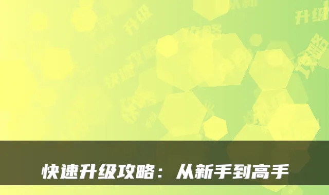 快速升级攻略：从新手到高手