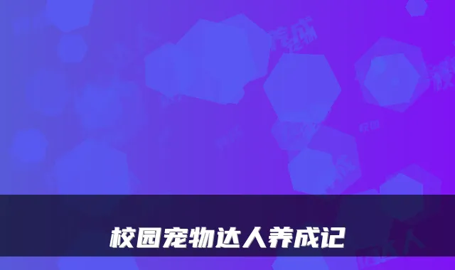 校园宠物达人养成记