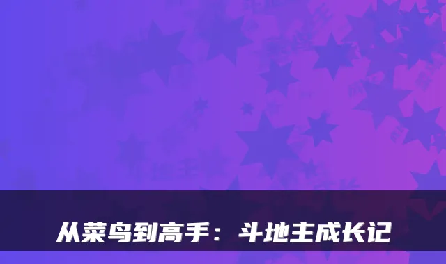 从菜鸟到高手：斗地主成长记