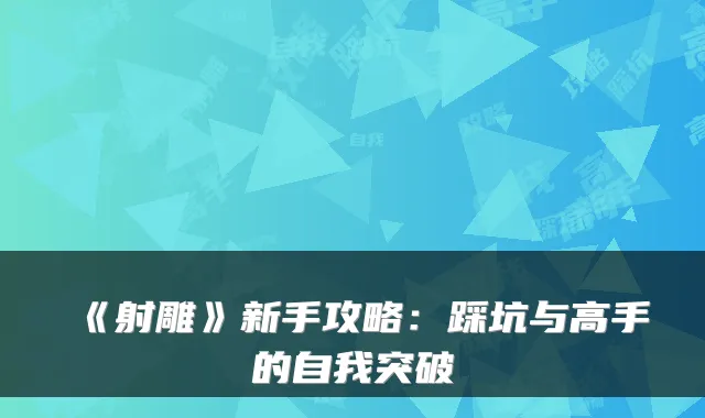 《射雕》新手攻略：踩坑与高手的自我突破