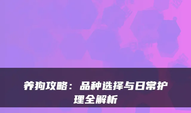 养狗攻略：品种选择与日常护理全解析