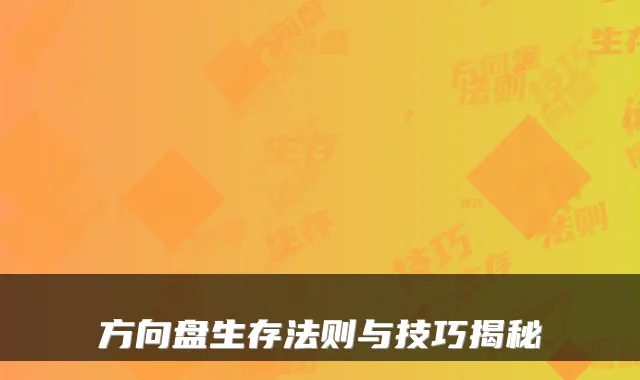 方向盘生存法则与技巧揭秘