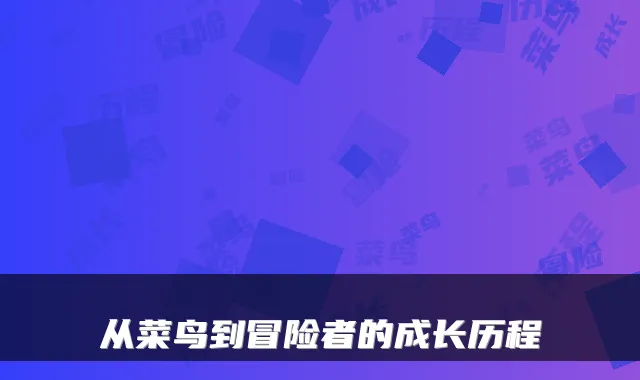 从菜鸟到冒险者的成长历程