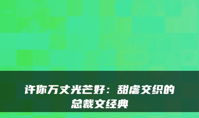许你万丈光芒好：甜虐交织的总裁文经典