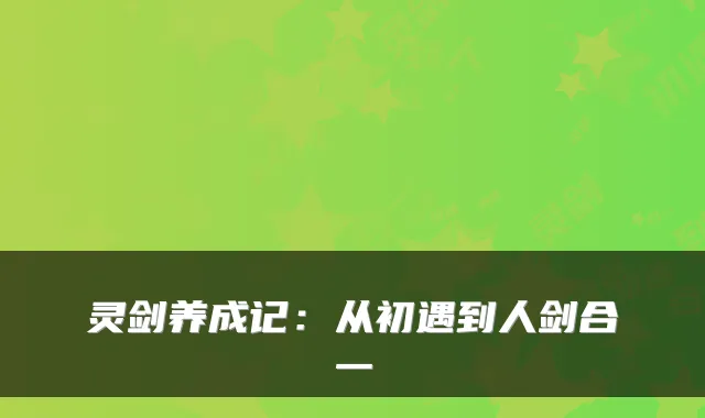 灵剑养成记：从初遇到人剑合一