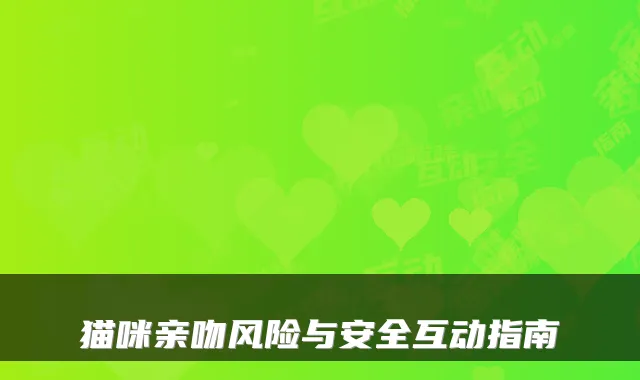 猫咪亲吻风险与安全互动指南