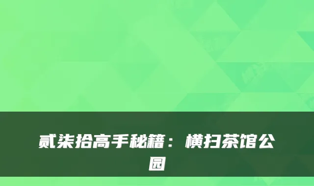 贰柒拾高手秘籍：横扫茶馆公园