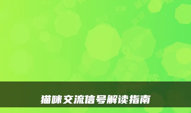 猫咪交流信号解读指南