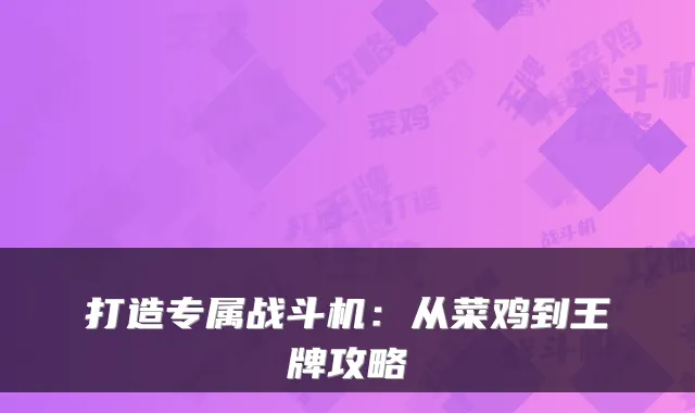 打造专属战斗机：从菜鸡到王牌攻略
