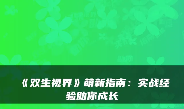 《双生视界》萌新指南：实战经验助你成长