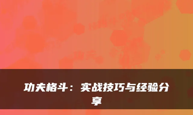 功夫格斗:实战技巧与经验分享
