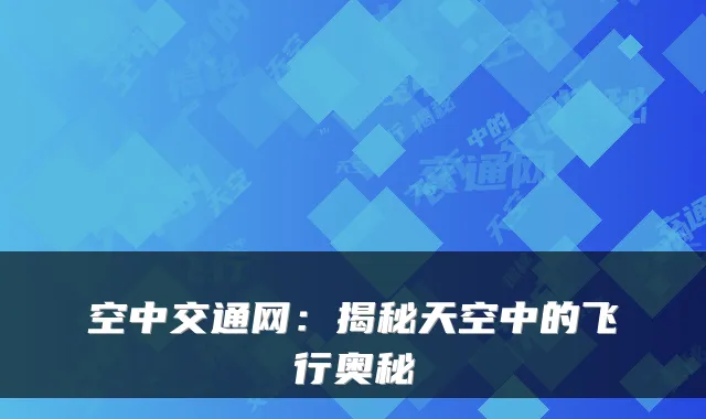 空中交通网：揭秘天空中的飞行奥秘