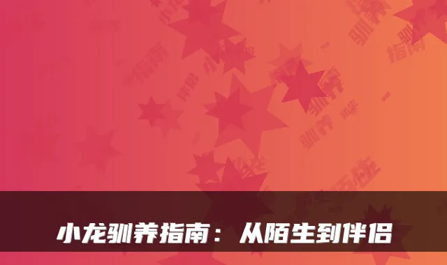 小龙驯养指南：从陌生到伴侣