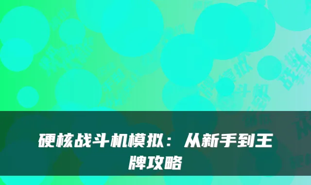 硬核战斗机模拟:从新手到王牌攻略