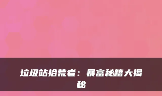 垃圾站拾荒者：暴富秘籍大揭秘