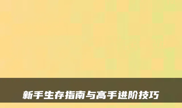 新手生存指南与高手进阶技巧