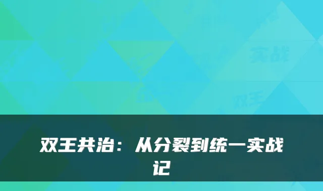 双王共治：从分裂到统一实战记