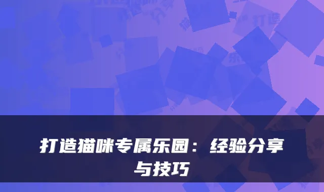 打造猫咪专属乐园：经验分享与技巧