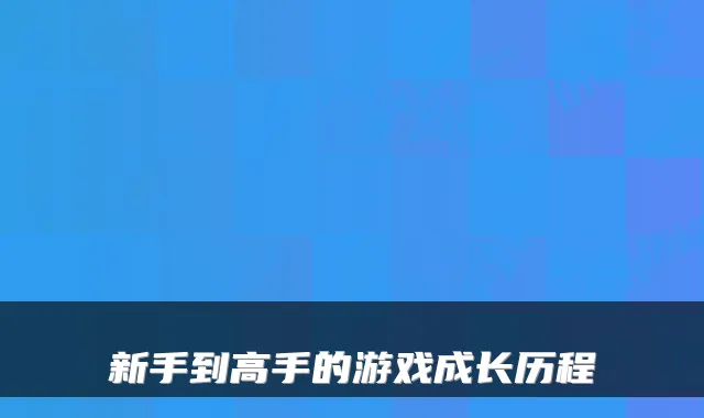 新手到高手的游戏成长历程