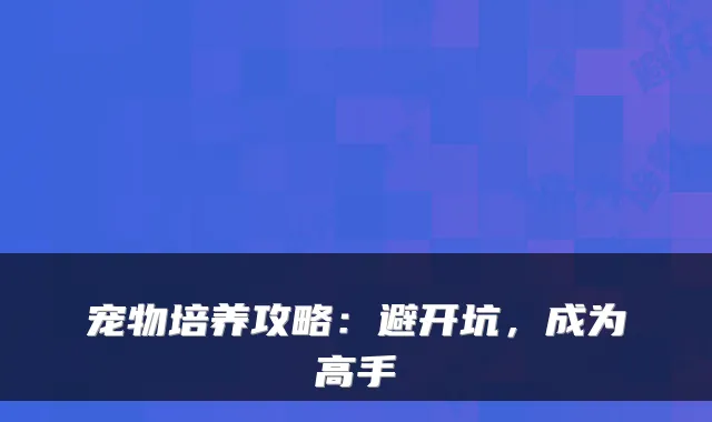 宠物培养攻略：避开坑，成为高手