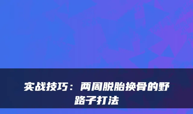 实战技巧：两周脱胎换骨的野路子打法