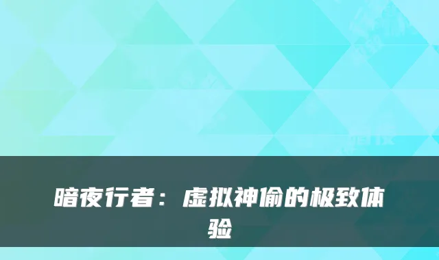 暗夜行者：虚拟神偷的体验