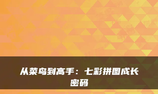 从菜鸟到高手：七彩拼图成长密码