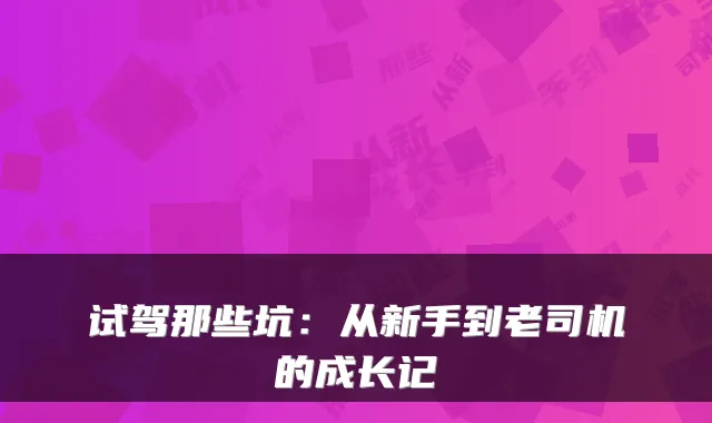 试驾那些坑:从新手到老司机的成长记