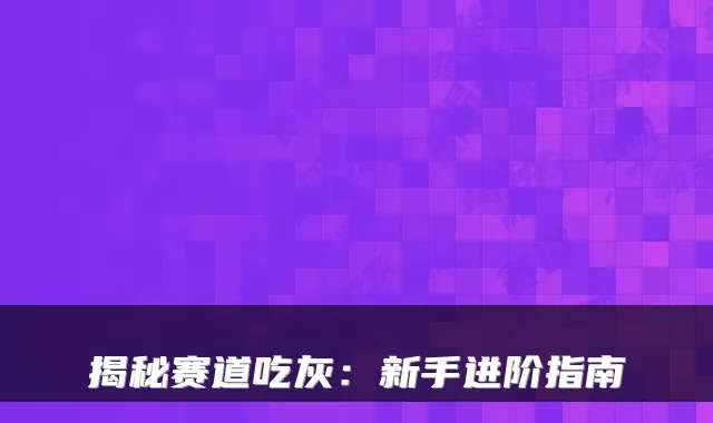 揭秘赛道吃灰：新手进阶指南