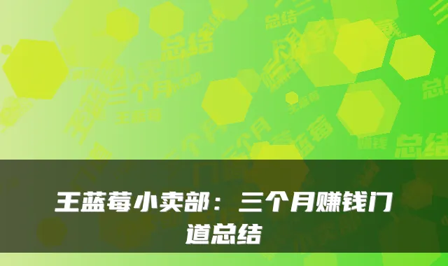 王蓝莓小卖部：三个月赚钱门道总结