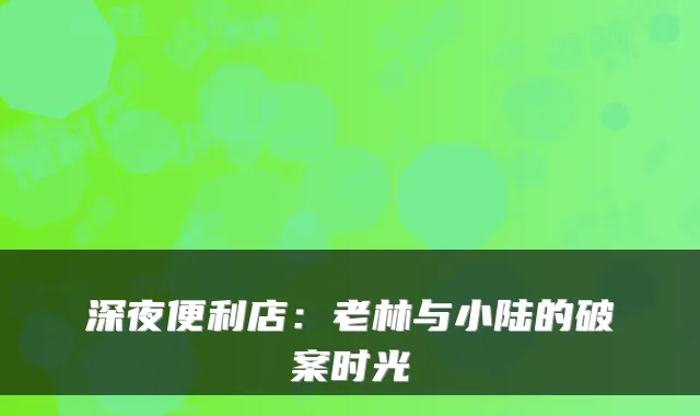 深夜便利店：老林与小陆的破案时光
