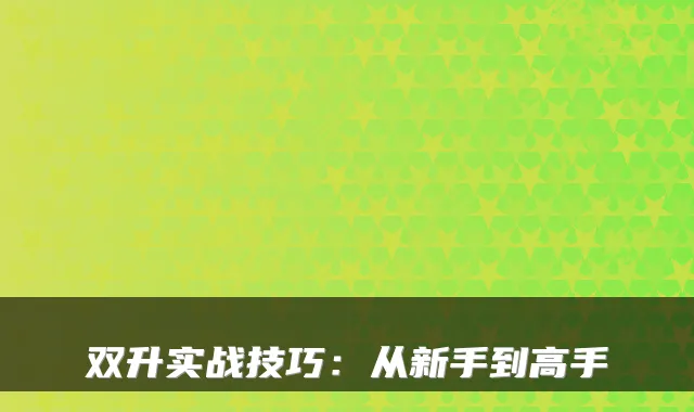 双升实战技巧：从新手到高手