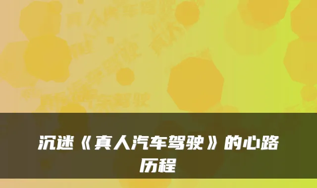 沉迷《真人汽车驾驶》的心路历程
