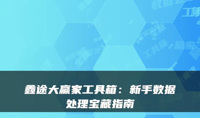 鑫途大赢家工具箱：新手数据处理宝藏指南