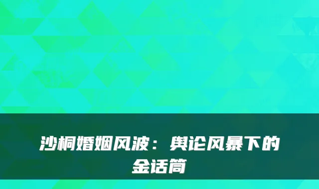沙桐婚姻风波：舆论风暴下的金话筒
