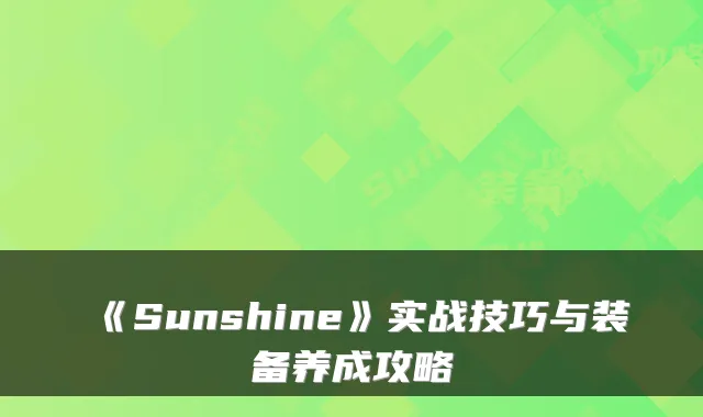 《Sunshine》实战技巧与装备养成攻略