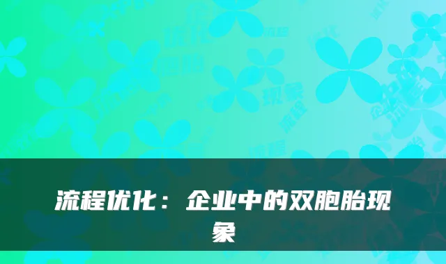 流程优化：企业中的双胞胎现象