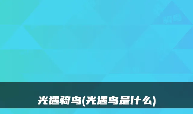 光遇骑鸟(光遇鸟是什么)