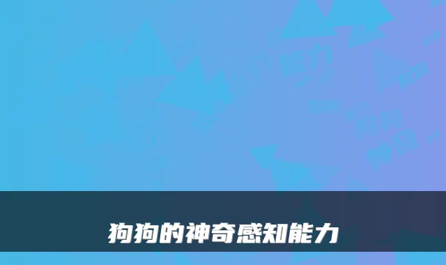狗狗的神奇感知能力